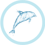 dolphin browser.png